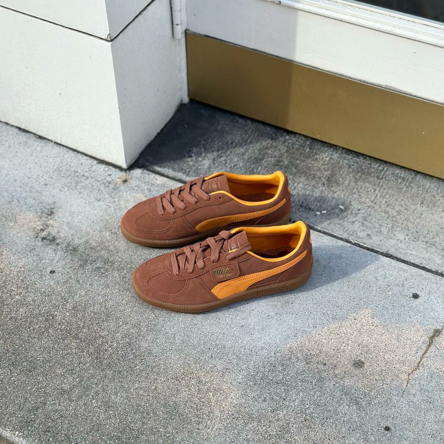 PUMA Palermo 日本新發售 巧克力棕 焦糖底 復古 德訓鞋 39646303