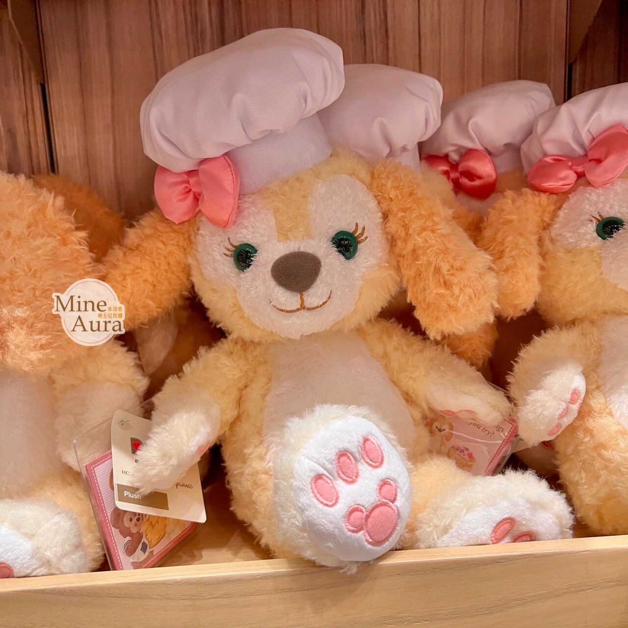 可琦安 餅乾 CookieAnn S號 娃娃 玩偶 -香港迪士尼樂園