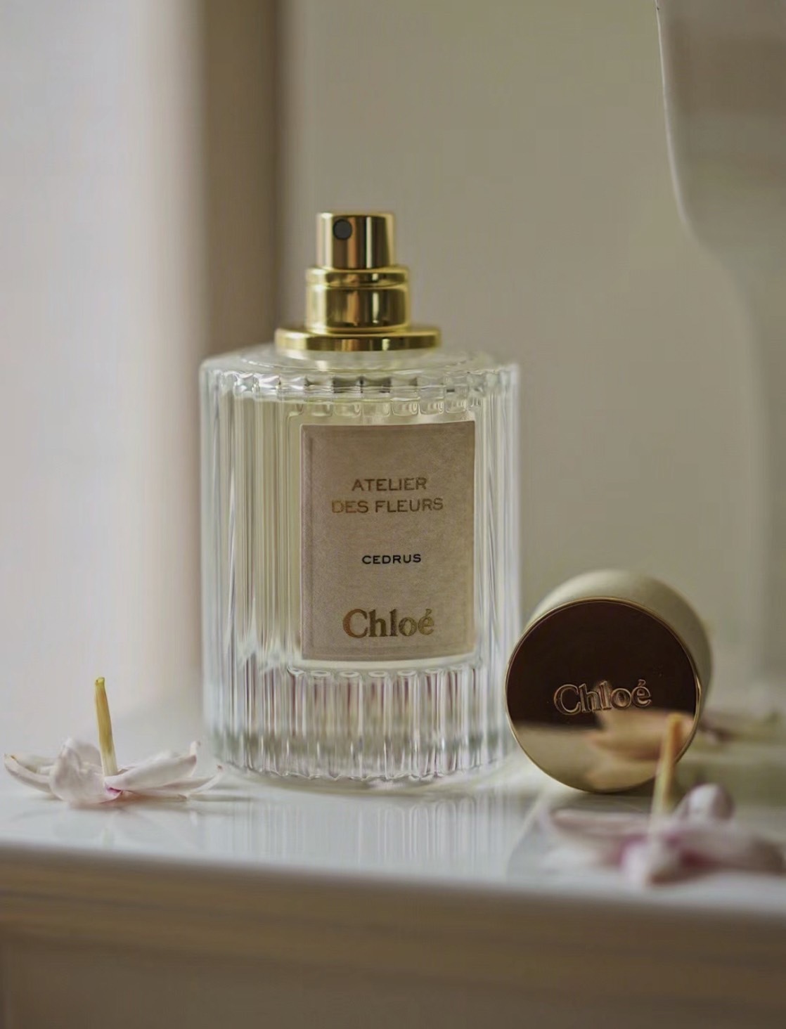 Chloe 仙境花園淡香精 50ml