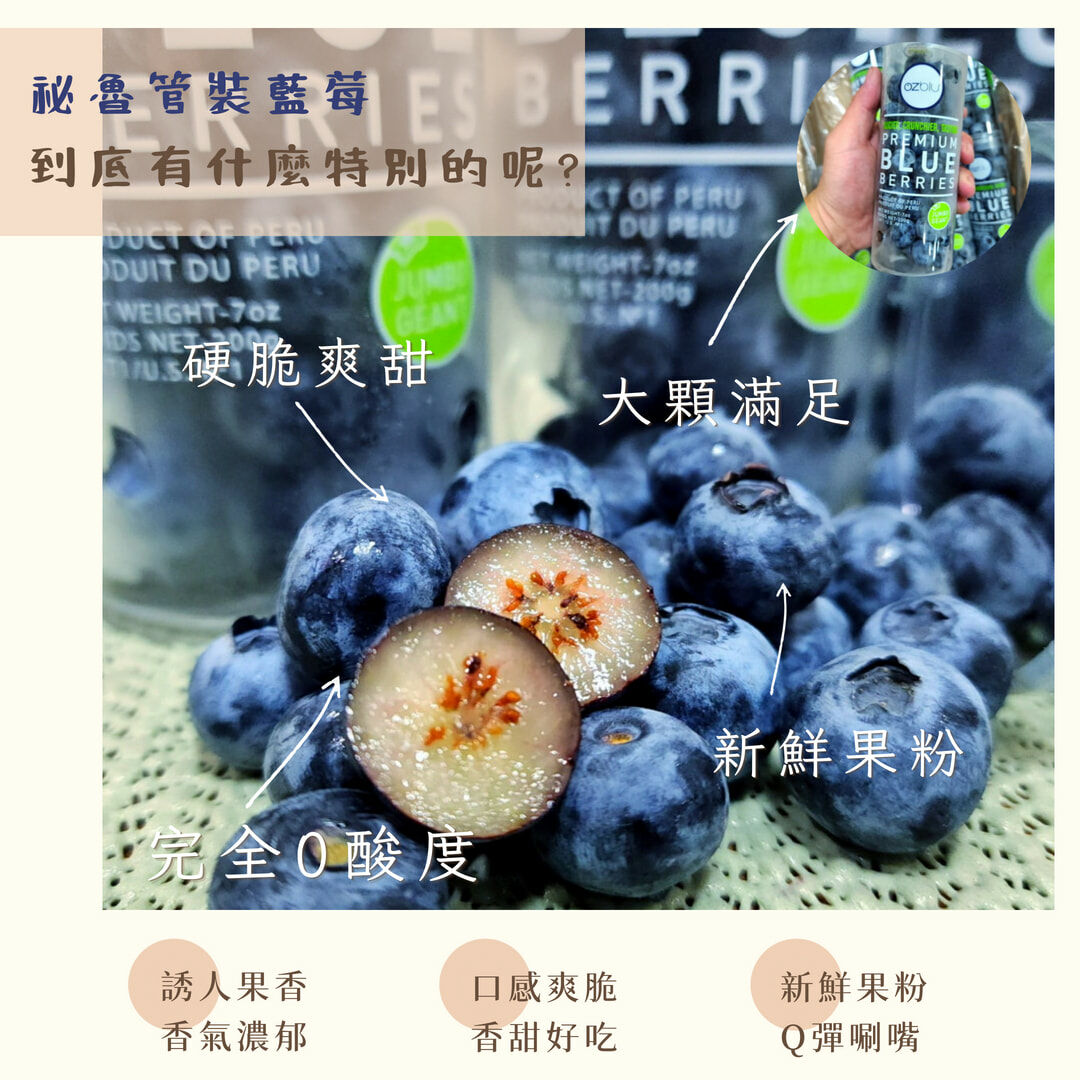 紐西蘭藍莓