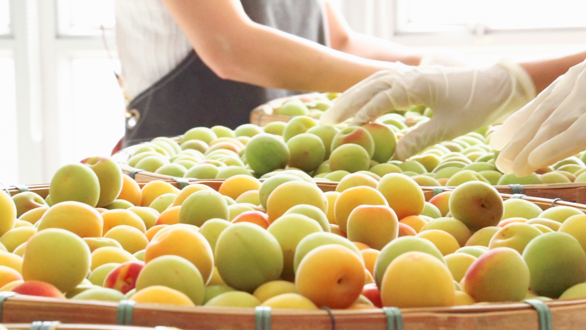 天成梅酒｜CLASSIC 本地X日本米酒基底｜香港手工釀