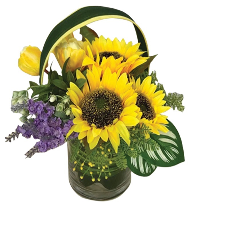 HAF18 Everlasting Splendors ⭐⭐⭐⭐⭐