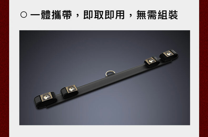 一字手腳撐桿組 含拉珠+陰蒂夾