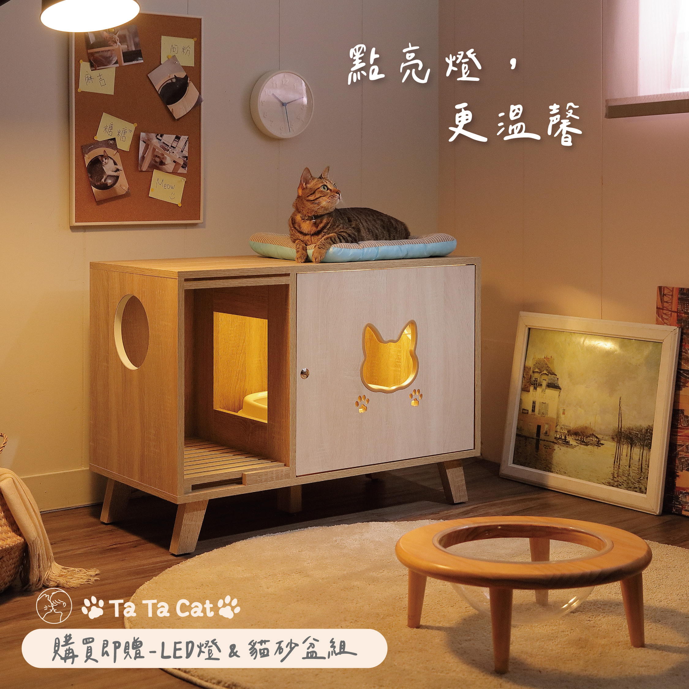 胖胖貓砂櫃-老貓、胖貓友善款 (預購)