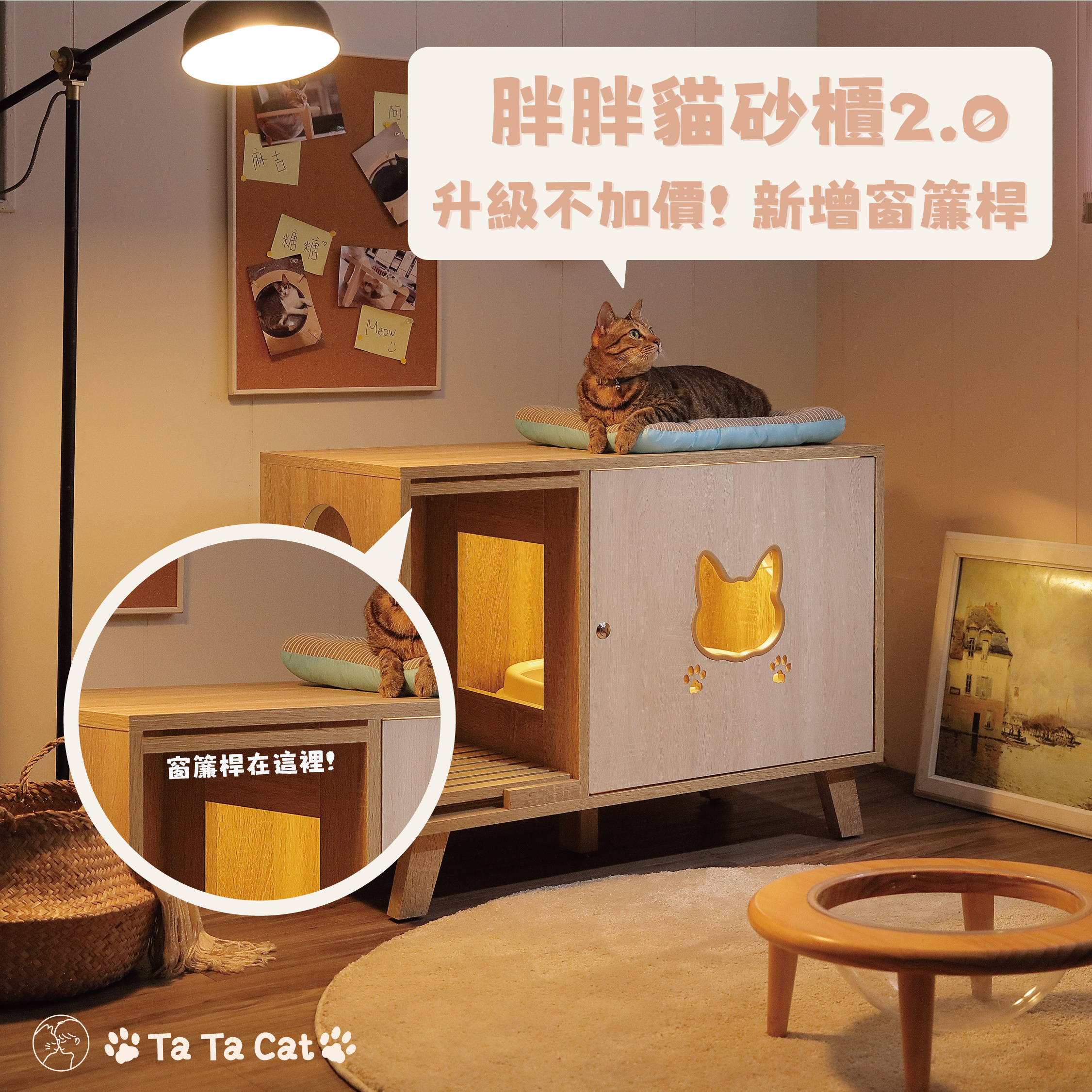 胖胖貓砂櫃-老貓、胖貓友善款 (預購)