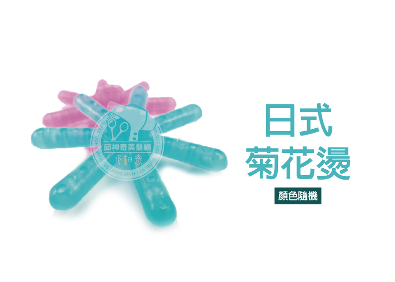 日式菊花燙