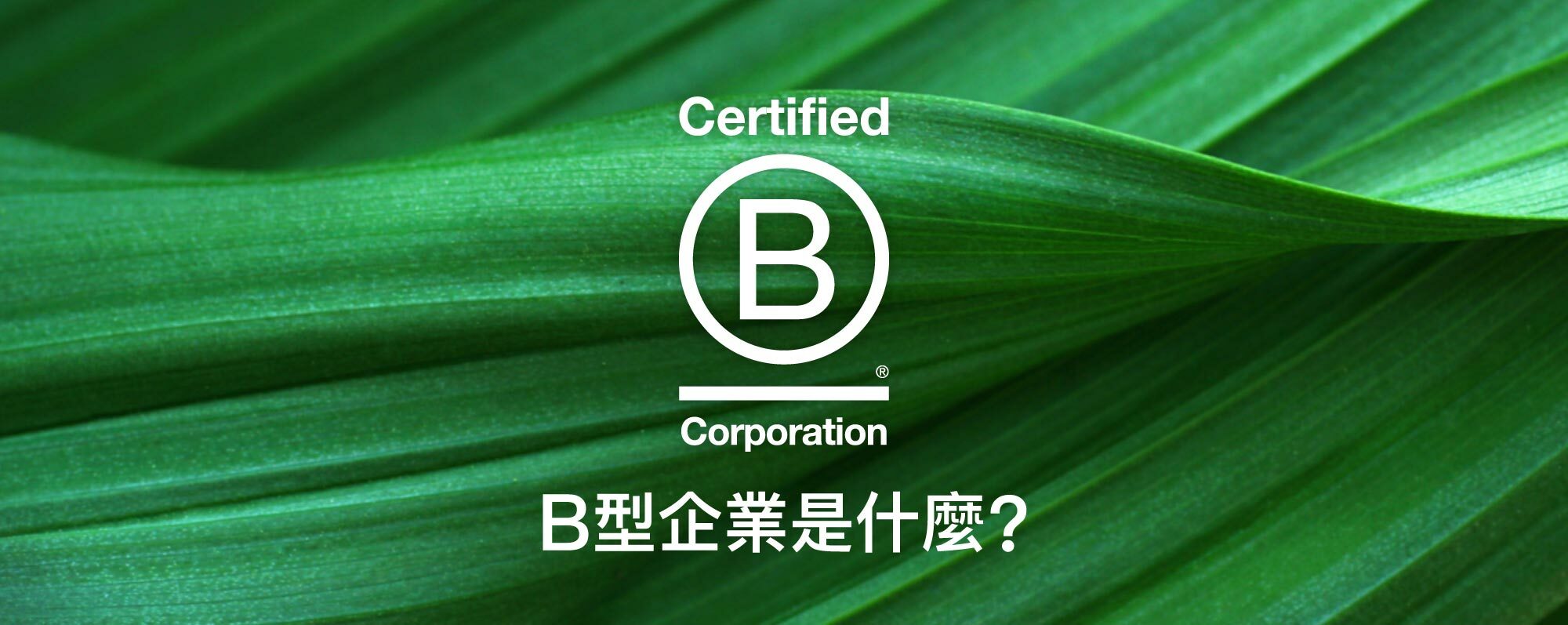 B型企業是什麼？