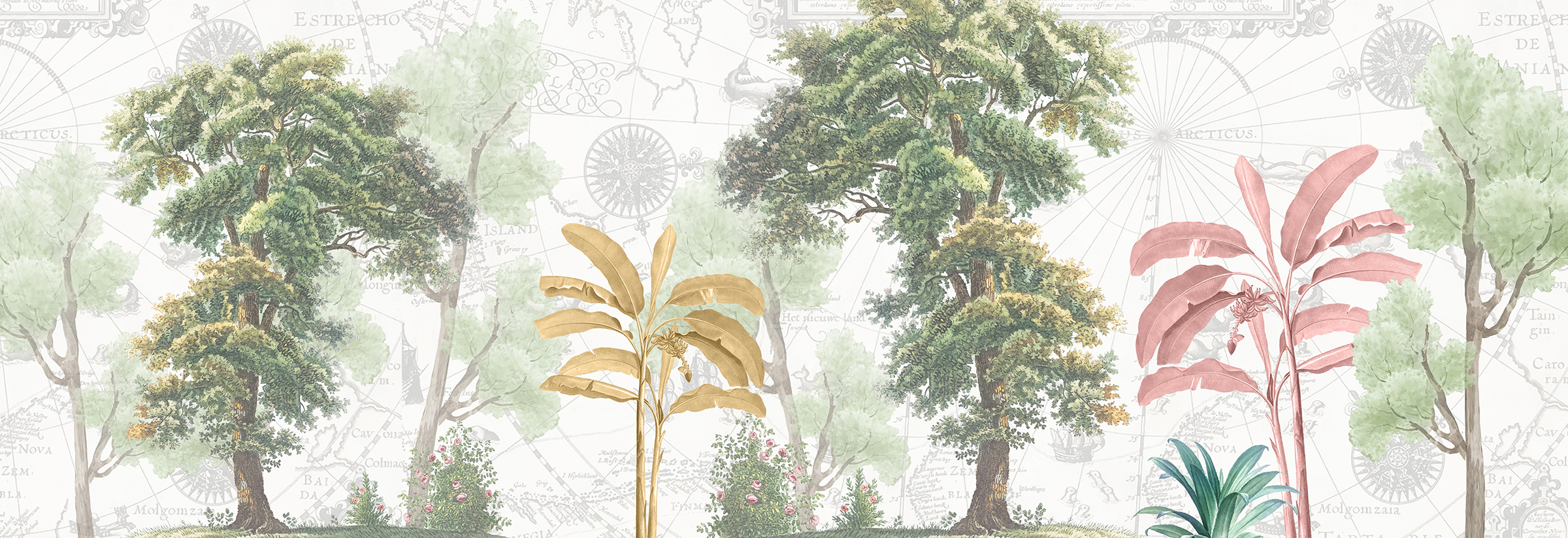 熱帶花草系列 014