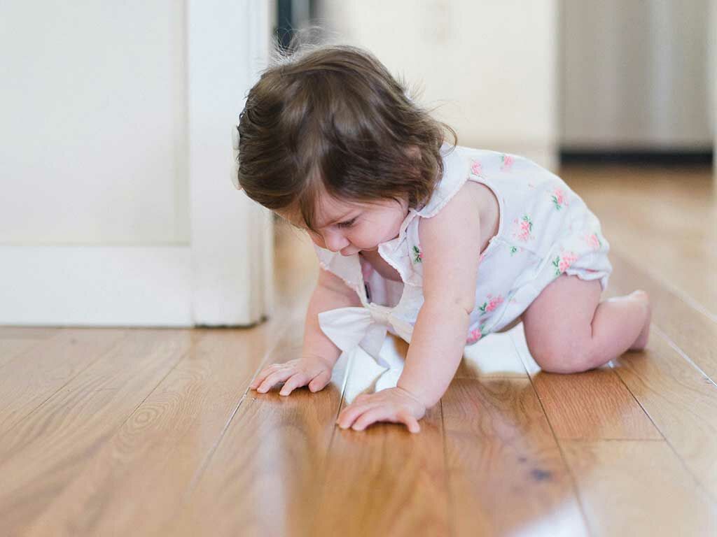 除蟲地板清潔劑的成分是天然的嗎？