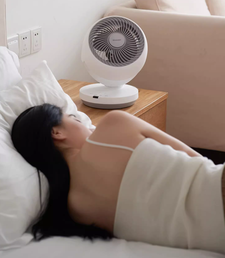 夏普空氣迴圈扇 - 觸屏遙控款  (2kg)