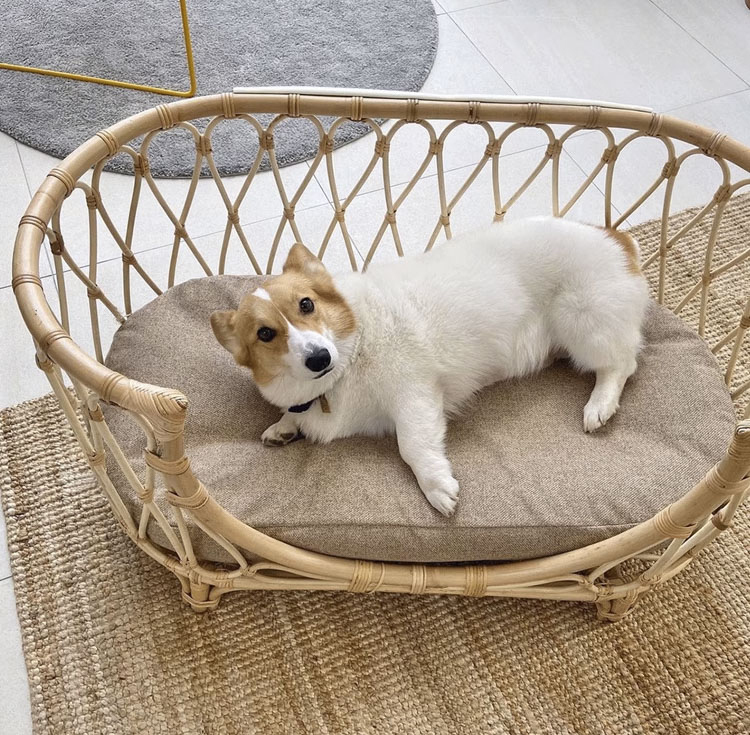 藤編寵物床(小款/大款)