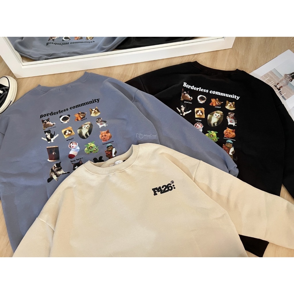 6163 F426貓咪大學T