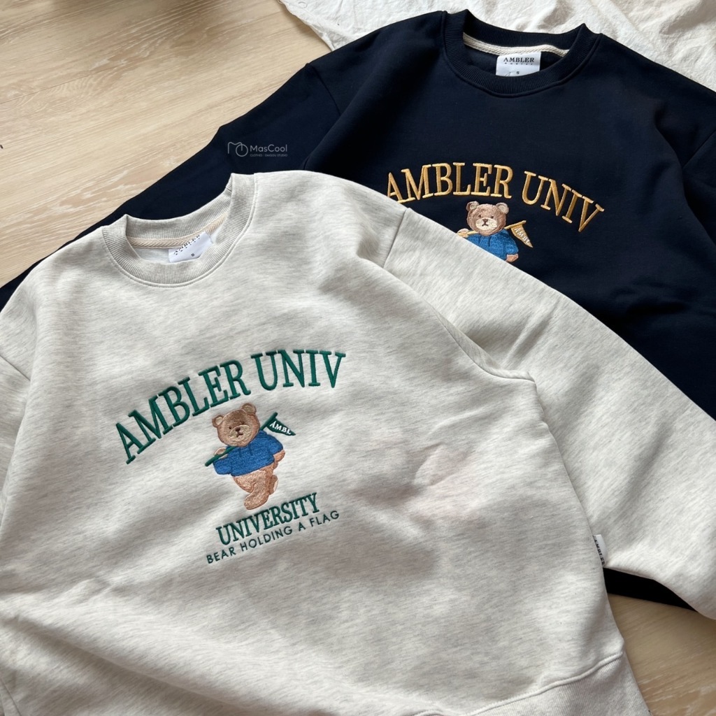 AMBLER  UNIVERSITY 大學T