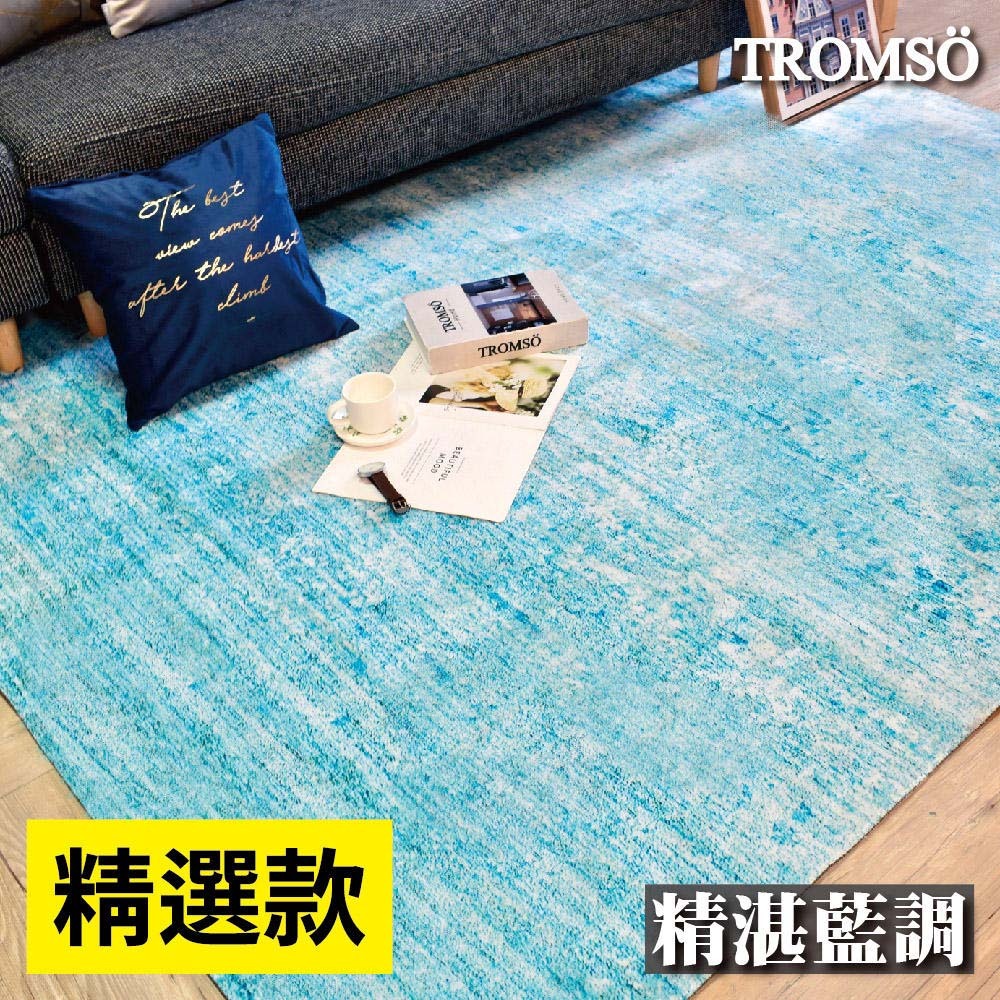 珊瑚絨地毯-特大-T精湛藍調