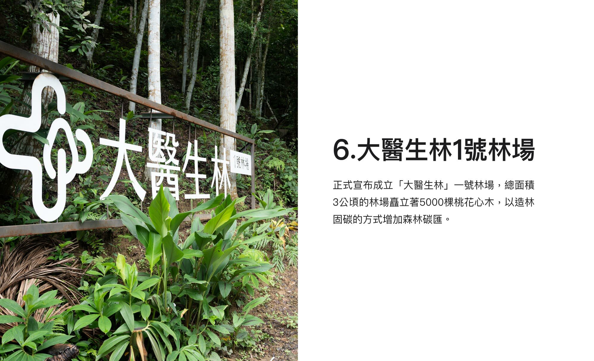 6.大醫生林1號林場：正式宣布成立「大醫生林」一號林場，總面積3公頃的林場矗立著5000棵桃花心木，以造林固碳的方式增加森林碳匯。