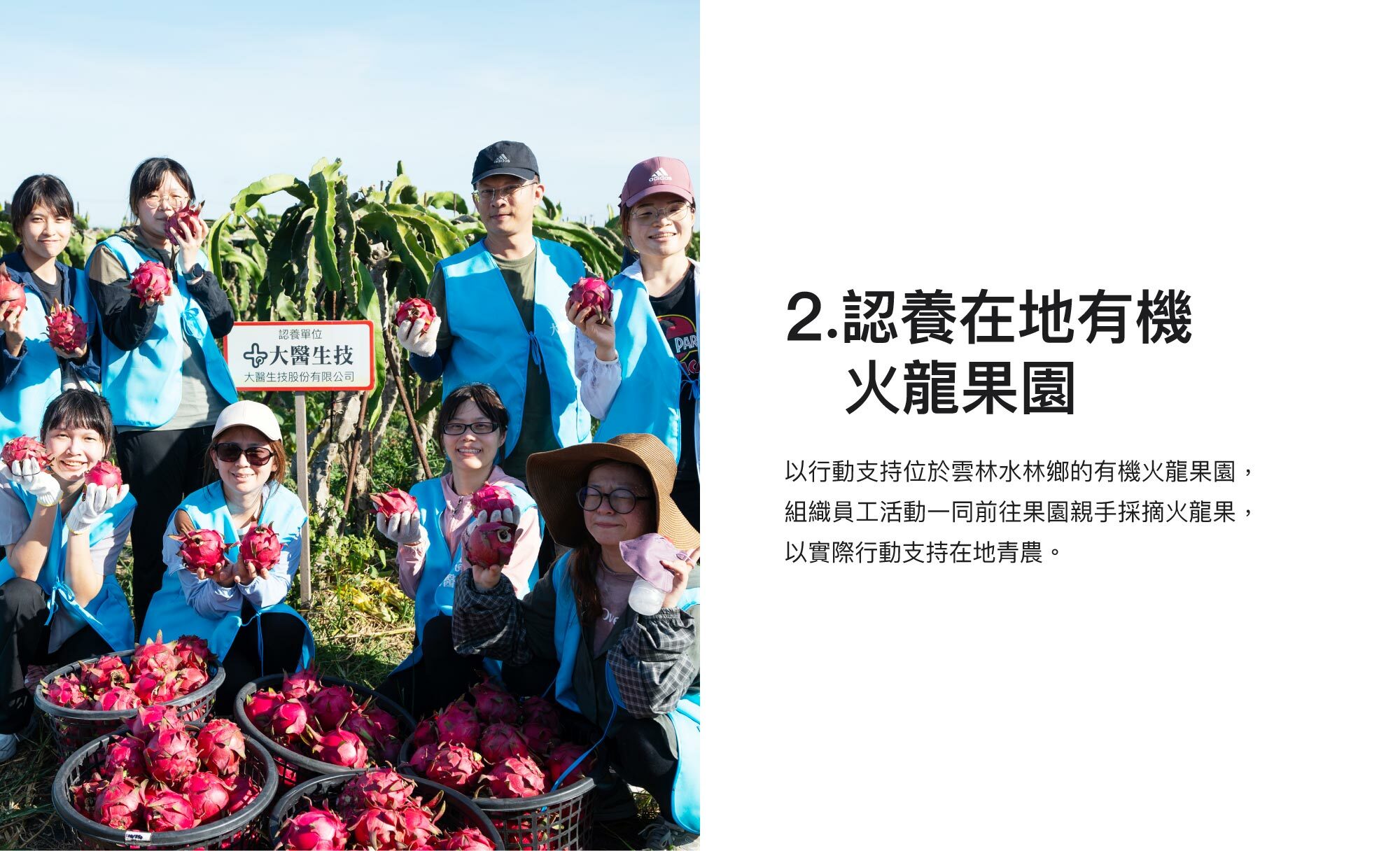 2.認養在地有機火龍果園：以行動支持位於雲林水林鄉的有機火龍果園，組織員工活動一同前往果園親手採摘火龍果，以實際行動支持在地青農。