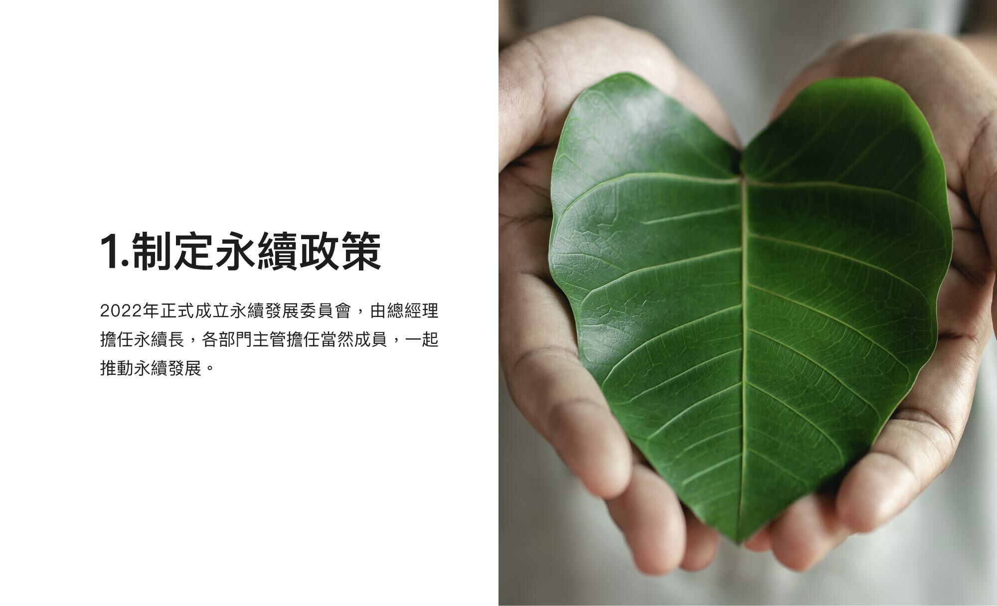1.制定永續政策：2022年正式成立永續發展委員會，由總經理擔任永續長，各部門主管擔任當然成員，一起推動永續發展。