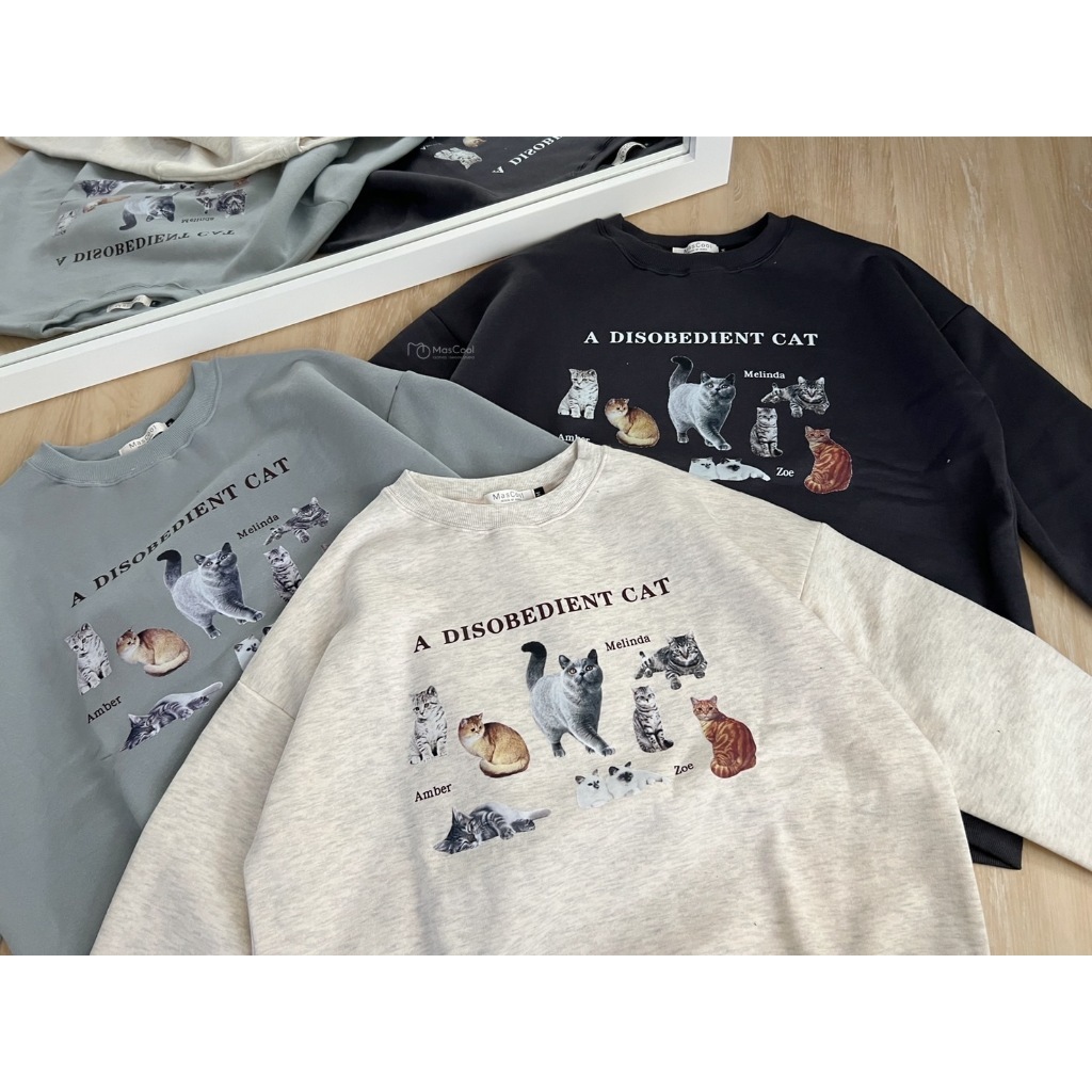6195  CAT貓大學T