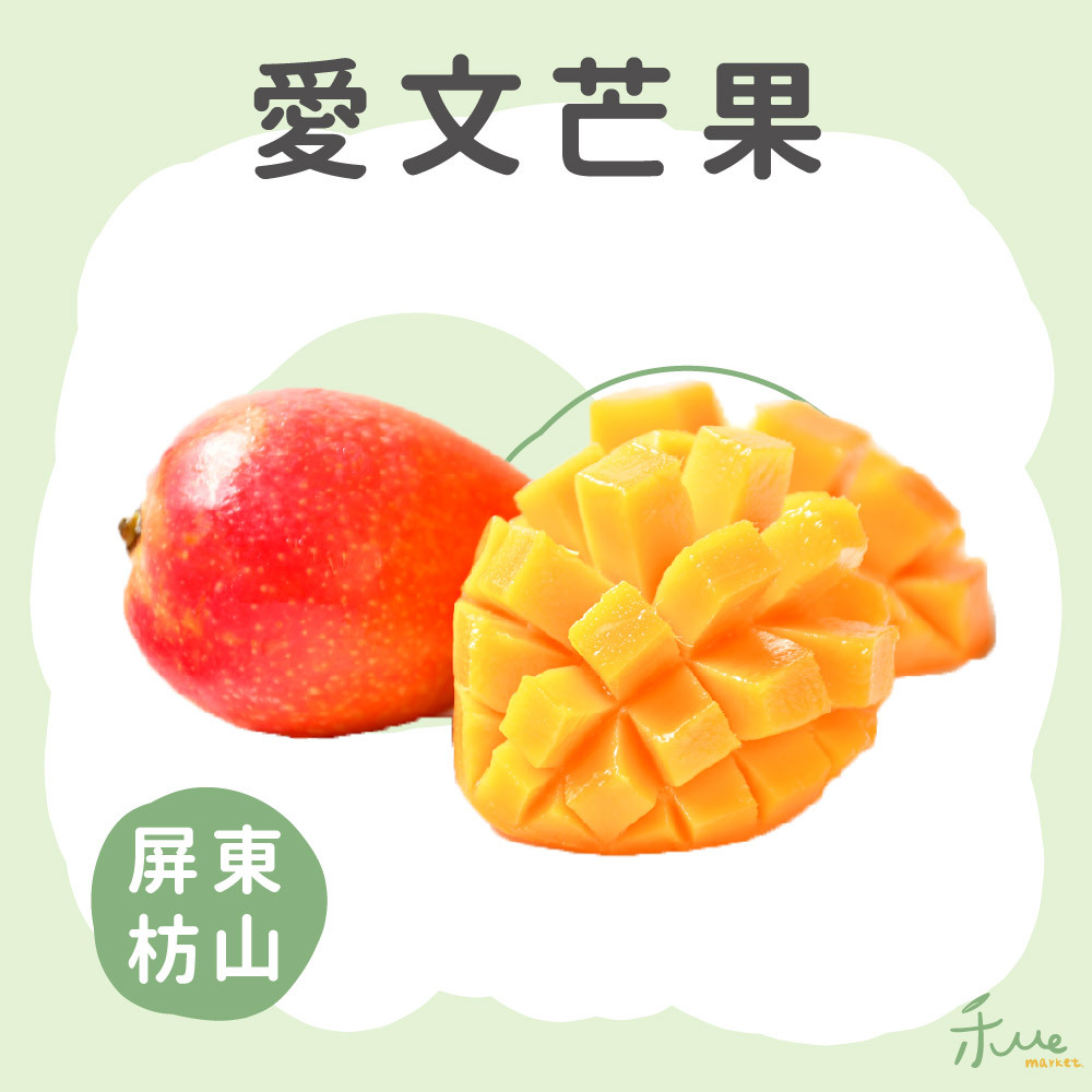【我在枋山種芒果】友善栽種愛文芒果(自然熟成)