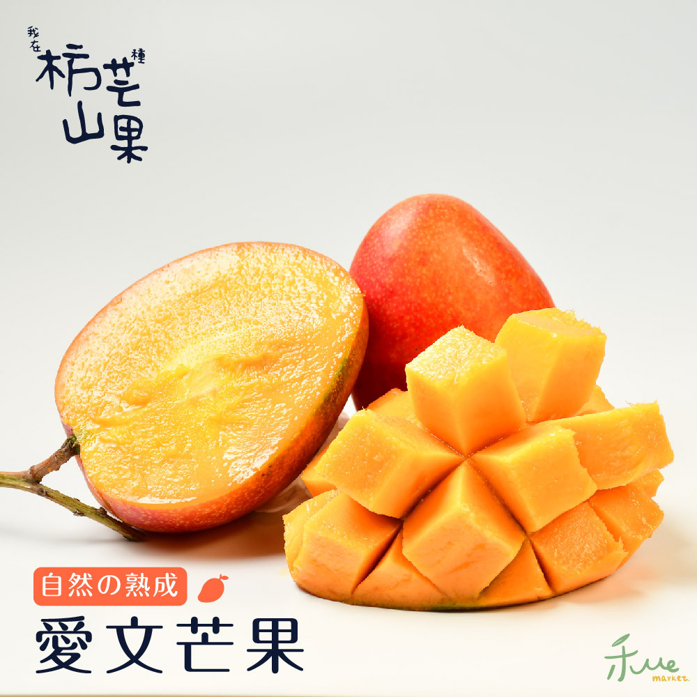 【我在枋山種芒果】友善栽種愛文芒果(自然熟成)