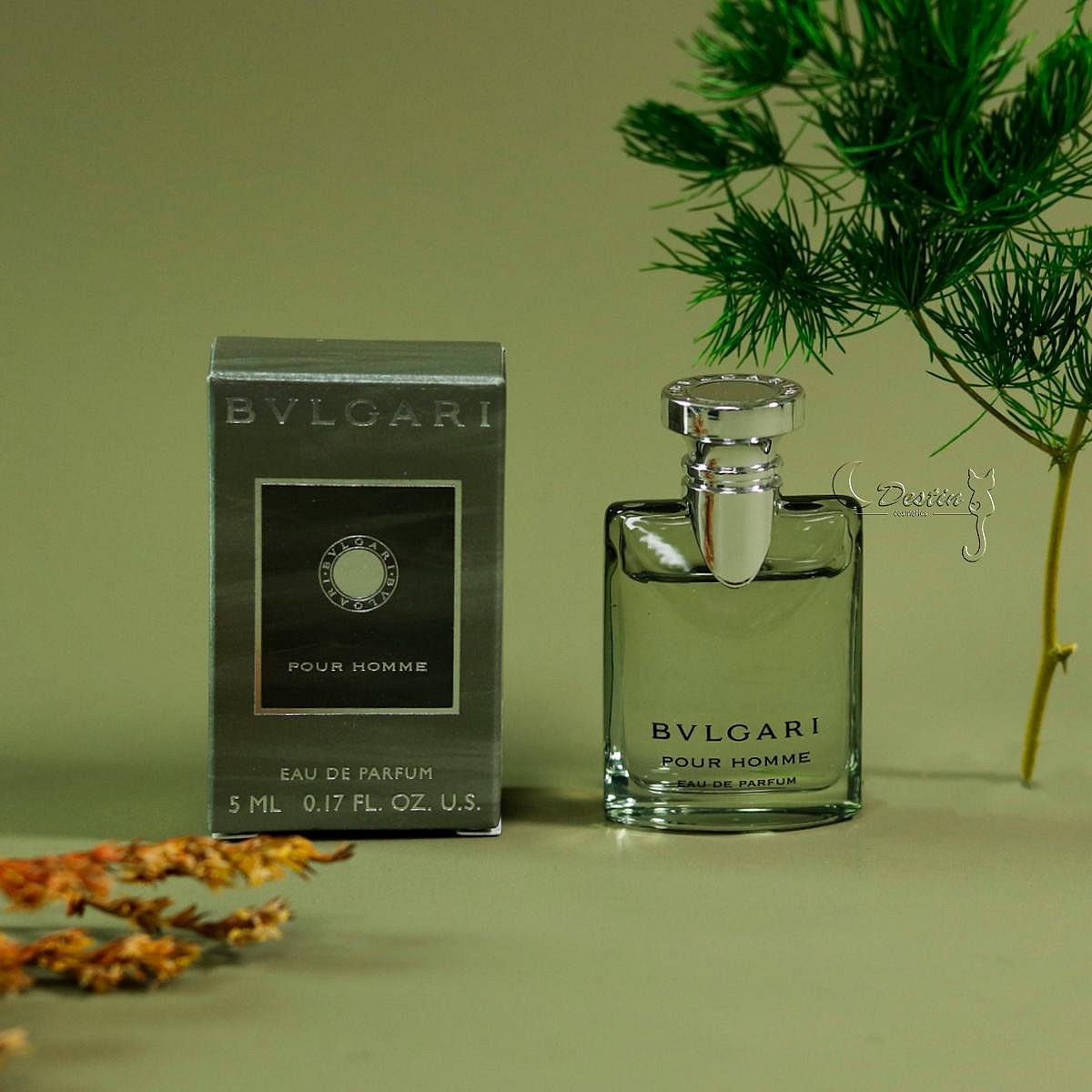 original.jpg?1710237685