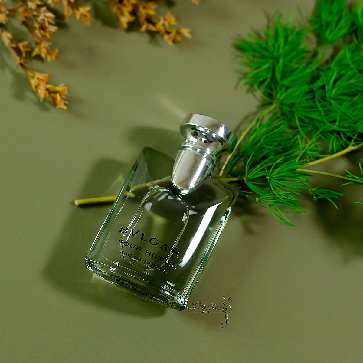 Bvlgari 寶格麗大吉嶺茶Pour Homme 男性淡香精5mL 沾式Q香附盒裝新品熱賣全