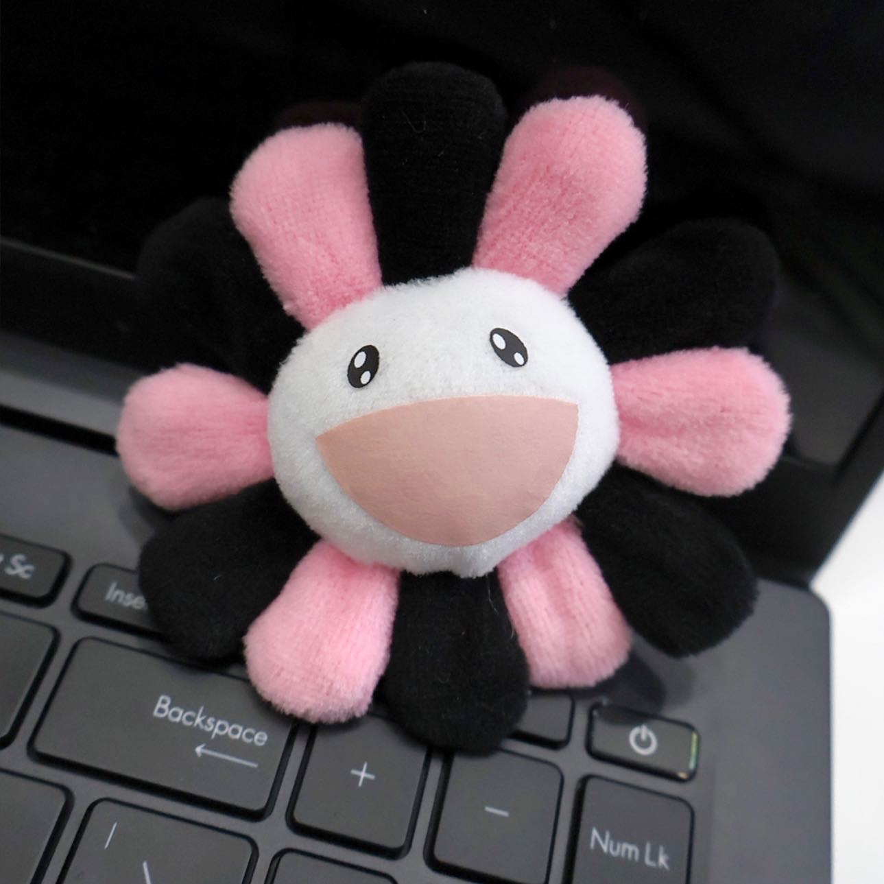 BLACKPINK x Takashi Murakami Flower Keychain Pillow（30C