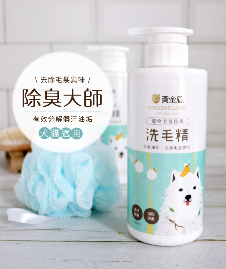 黃金盾｜潔淨除臭沖涼液（百合鳶尾花味）（半價不足一年有效期）