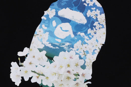 BAPE SAKURA PHOTO APE HEAD TEE 富士山 櫻花 大頭 限定 日本 猿人 背後LOGO 現貨 1K22110038