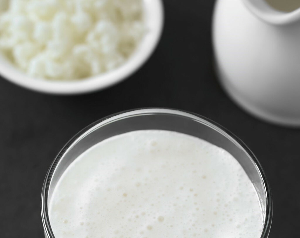 克菲爾, 益生菌, 發酵乳