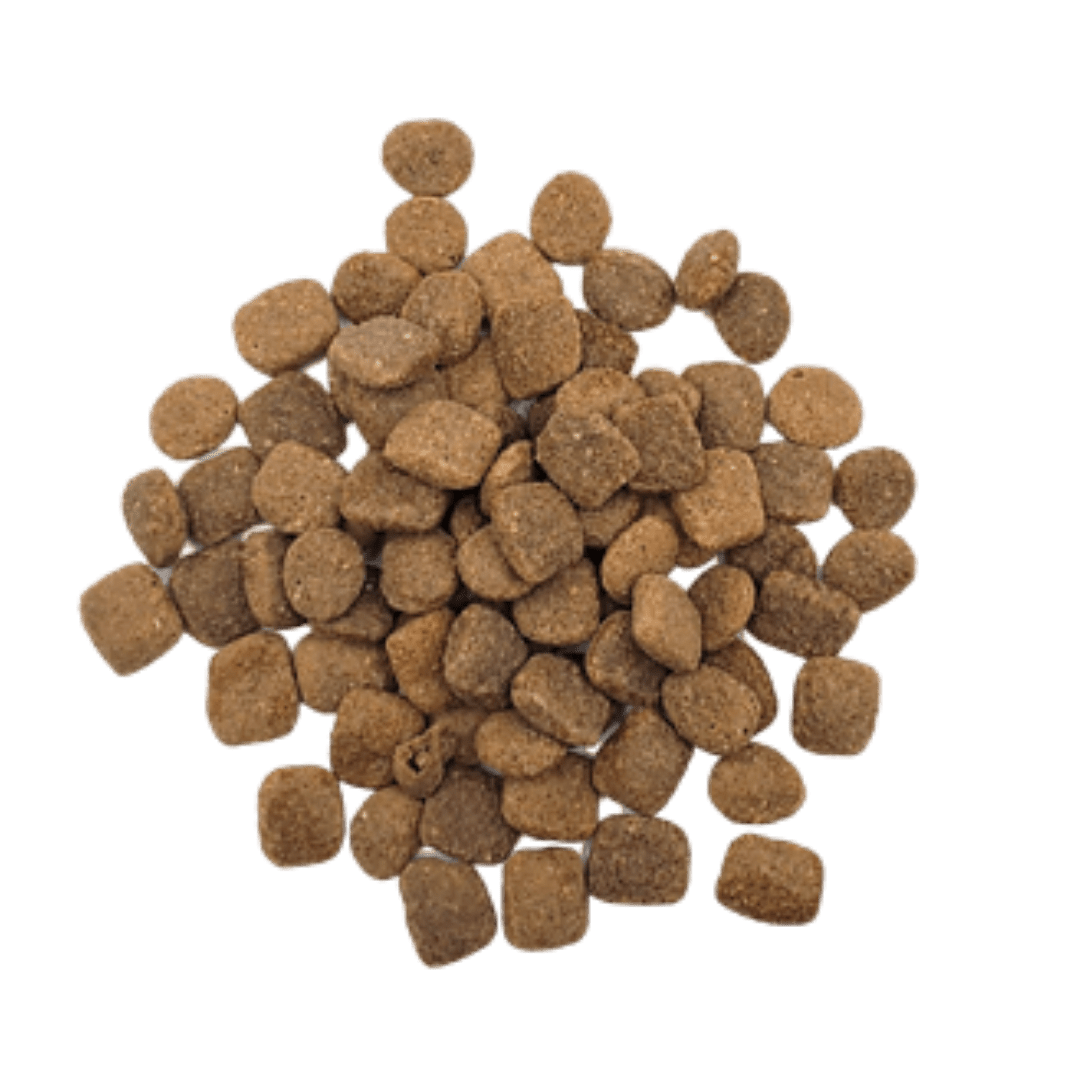 Rawz 單一蛋白三文魚狗乾糧