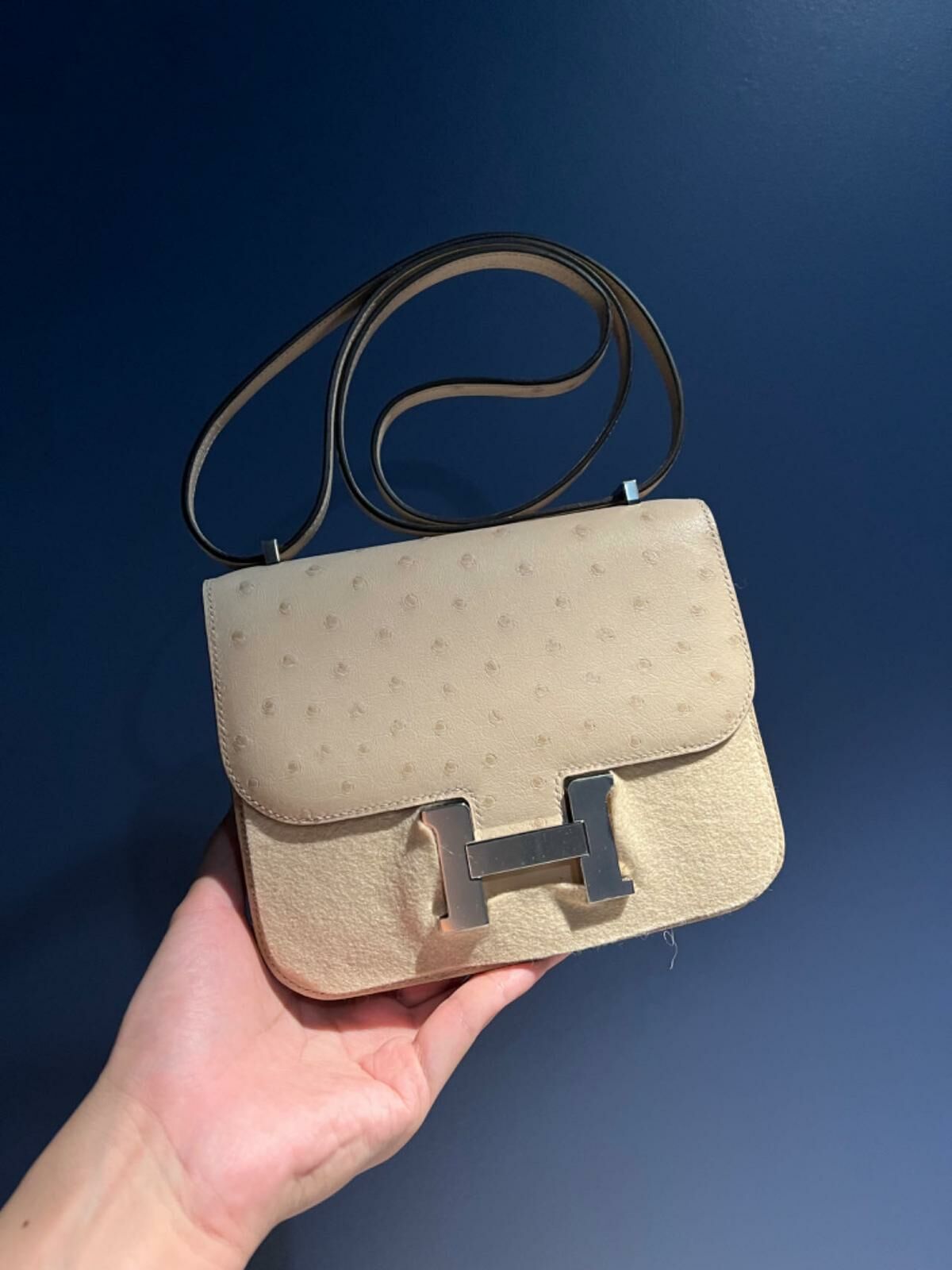 Constance mini 3C parchemin ck autruche B