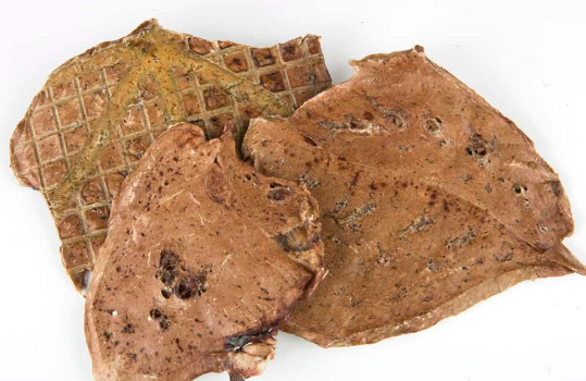 Fit’n’Flash -  羊肉餅 50G