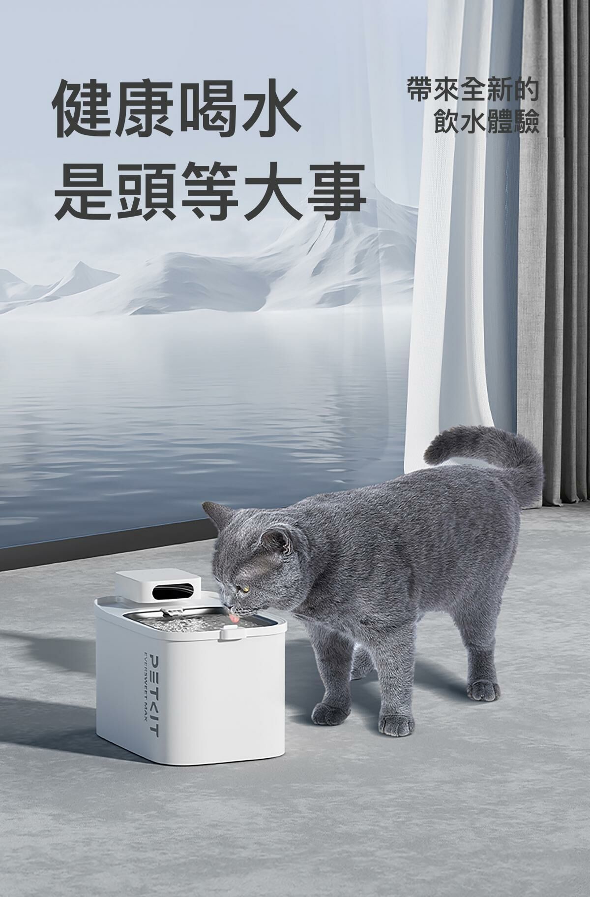 Petkit Eversweet MAX 無線智能飲水機