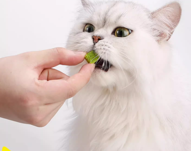 雅禮頌 凍乾貓草粒 (500g*1罐)