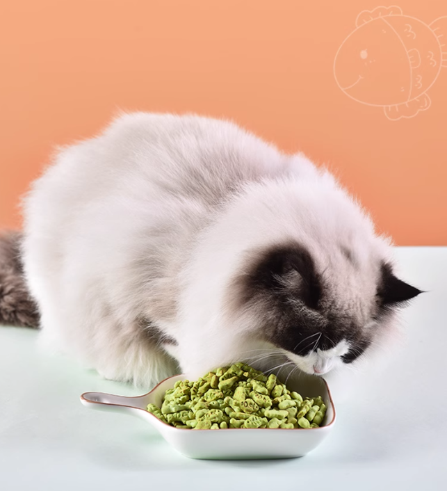 巧小熊貓薄荷餅乾 (1000g*1罐)