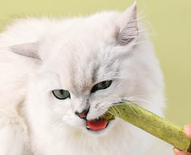 瓜洲牧 貓咪貓草磨牙棒 (480g*1桶)