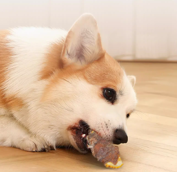 寶寶家 寵物零食鴨肉乾纏雪梨 (700g*1桶)