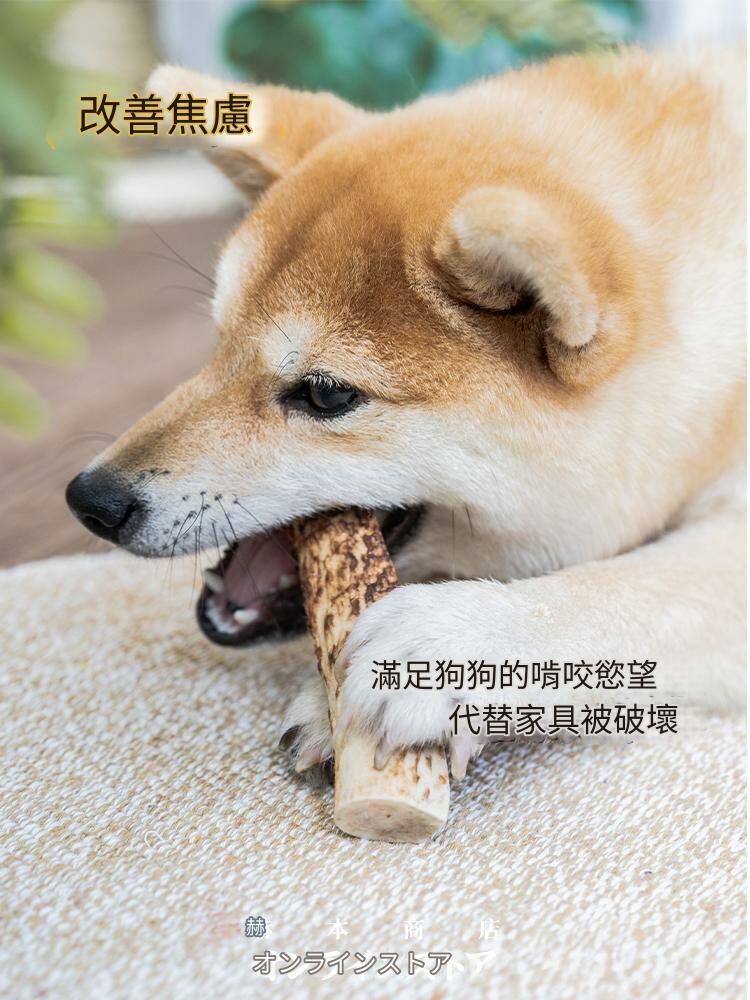 DogeDaddy/多格爸爸 寵物零食鹿角磨牙骨頭 (大/中/小號, 50g/90g/150g)