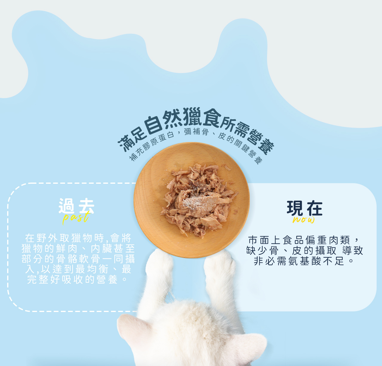 寵物100%膠原蛋白胜肽NIPPI（犬用