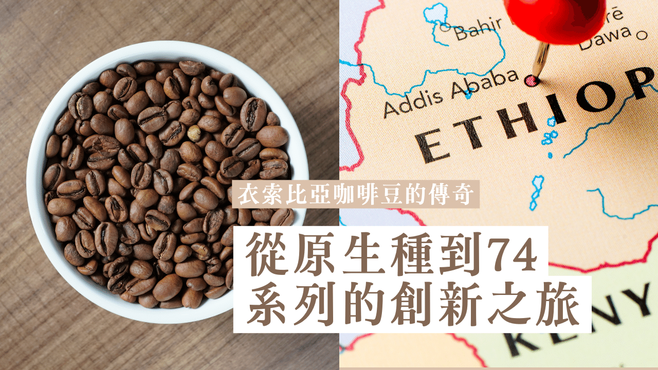 衣索比亞咖啡豆的傳奇：從原生種到74110與74112的創新之旅