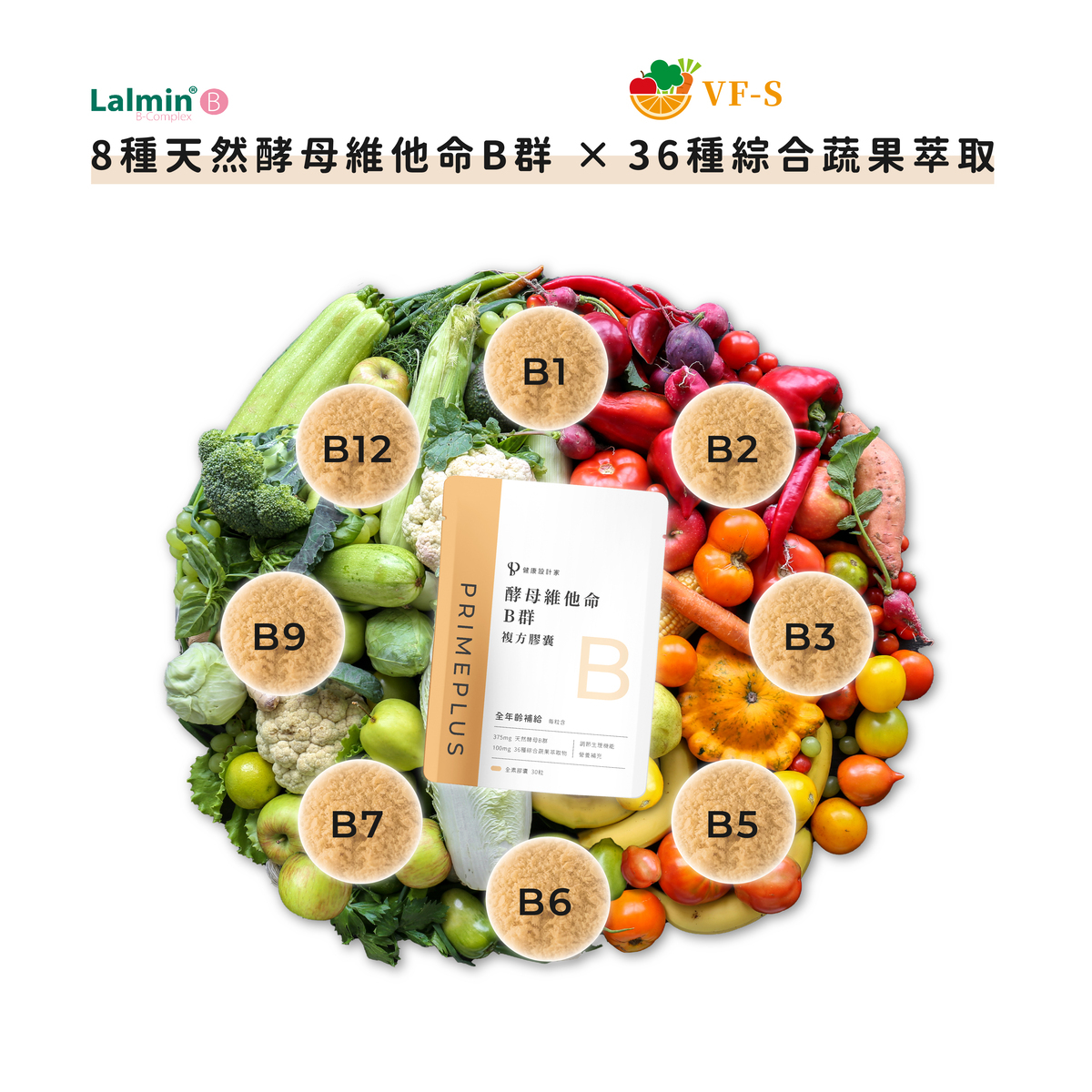 《健康設計家》的B群中含36種綜合蔬果萃取物