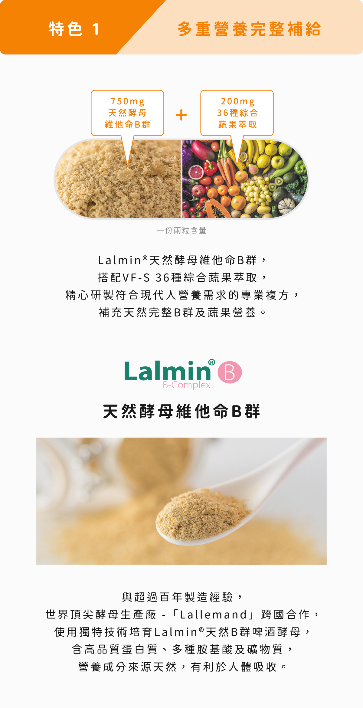 《健康設計家》B群的特色一:多重營養完整補給