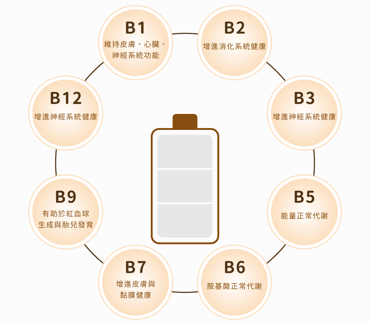 《健康設計家》B群內含成分，給你滿滿活力