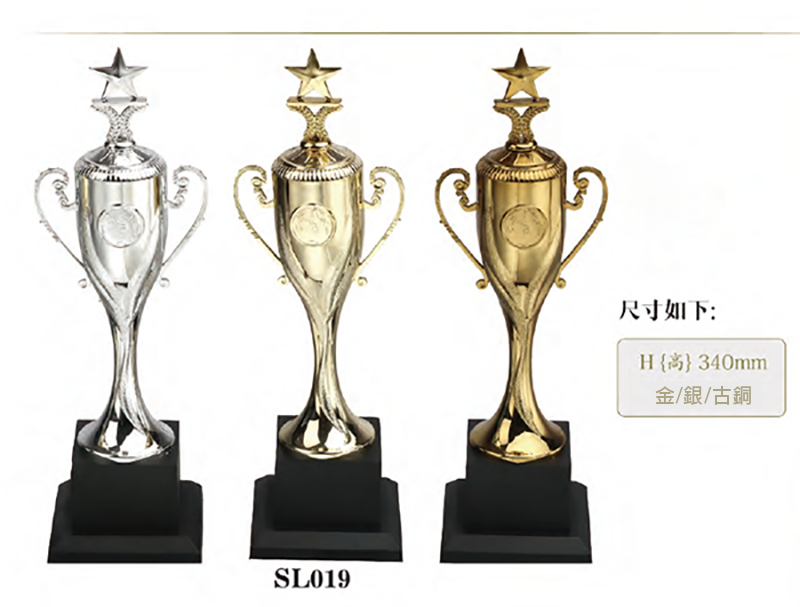 破盤價 SL019 優質樹脂獎盃 升級送彩色排版金貼  SL019