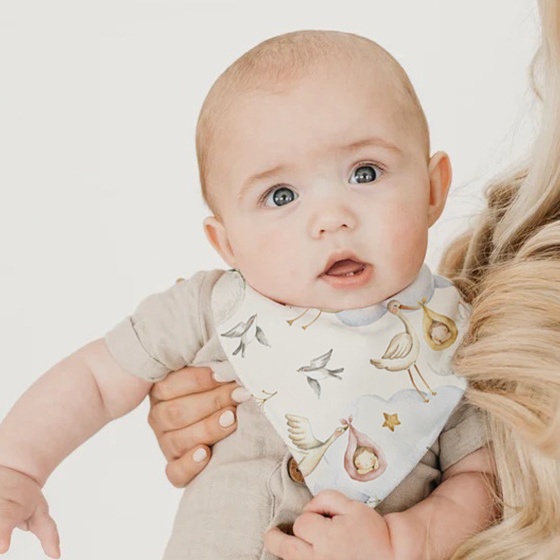 denmark bib color ex