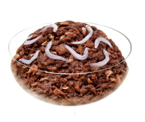 INABA BIG 軟包 吞拿魚 + 白飯魚．80g