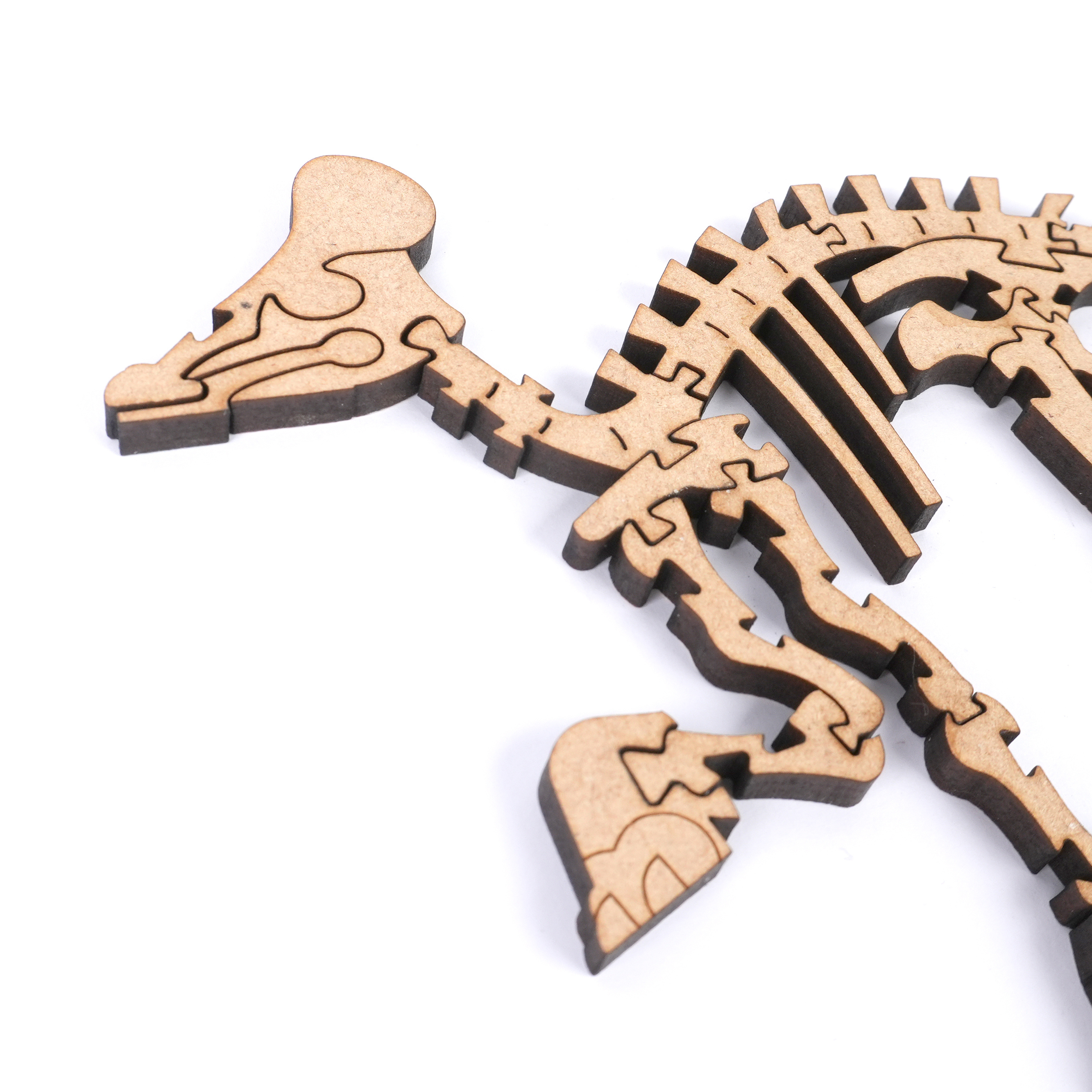 白堊紀恐龍-冠龍