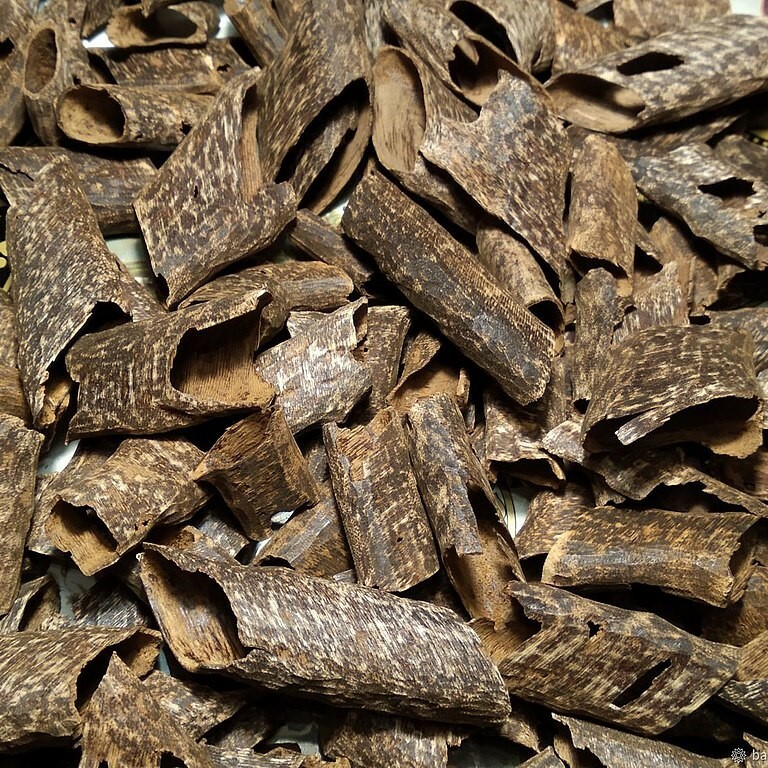 沉香精油, Agarwood Oil, 鎮靜安撫, 平喘助眠, 強化心臟, 抗菌止痛, 消化促進, Aquilaria sinensis, 白木香酸, 沉香螺旋醇, 臺灣東南亞印尼, 天然香料, 精油治療, 身心靈療癒, 美容保健