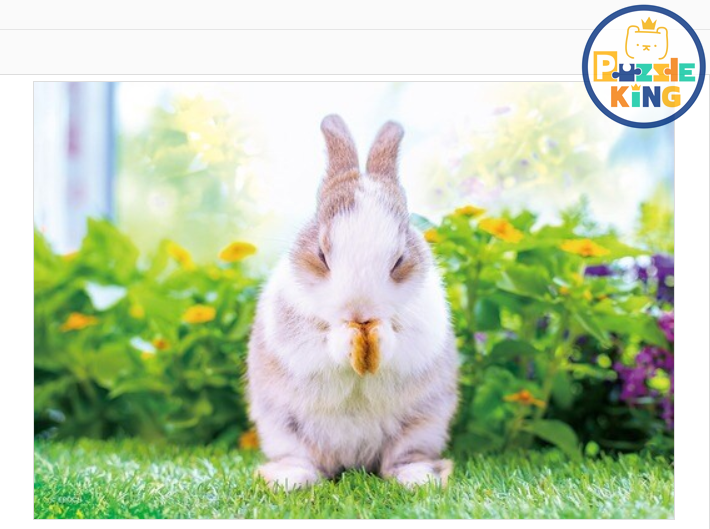 你的早晨例行工事